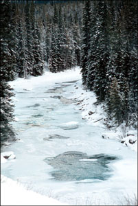 River near the road between Banff and Jasper, Canada