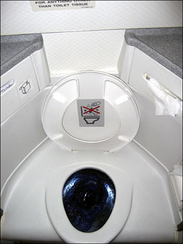 Boeing toilet photo by Willie. "Why?" you ask? Well, see, Willie has always been a big fan of Marcel Duchamp. 
