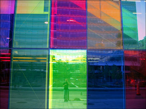 More color. Willie reflected in a building with multicolored windows.