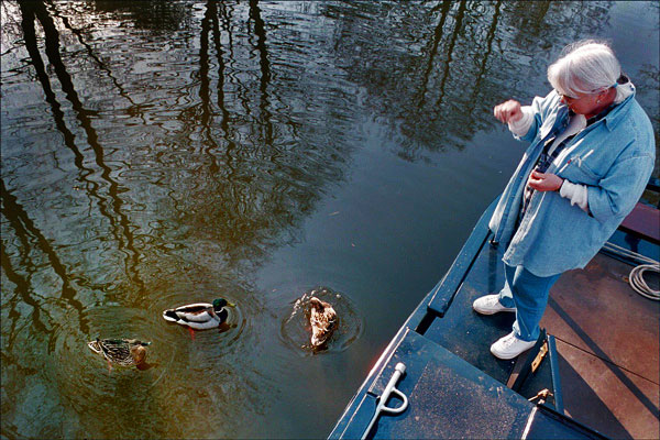 Feeding ducks near narrowboat