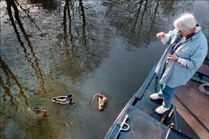 Feeding ducks near narrowboat
