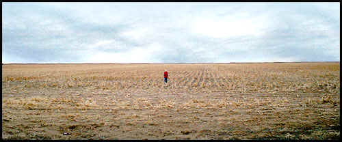 Texas/Oklahoma panhandle. . . a woman outstanding in any field, even this wheat field in the Oklahoma panhandle.  Notice the flatness of the horizon.
