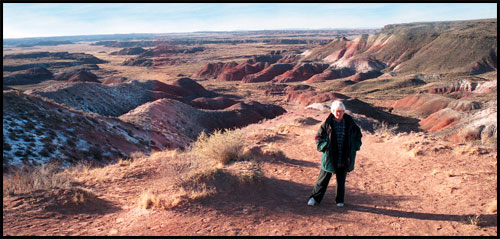 Painted Desert/Petrified Forest National Monument