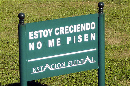 "I am growing. Don't step on me." This sign adorns a grassy area near an estuary in Tigre, a town on the delta near Buenos Aires.