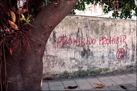 More Graffiti. This one says, "Prohibiting is forbidden."