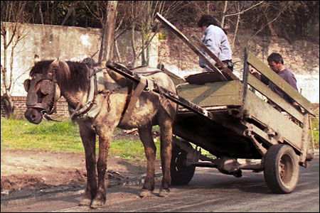 Scavengers on the road in Tigre, looking for things to salvage. It's a tough life.